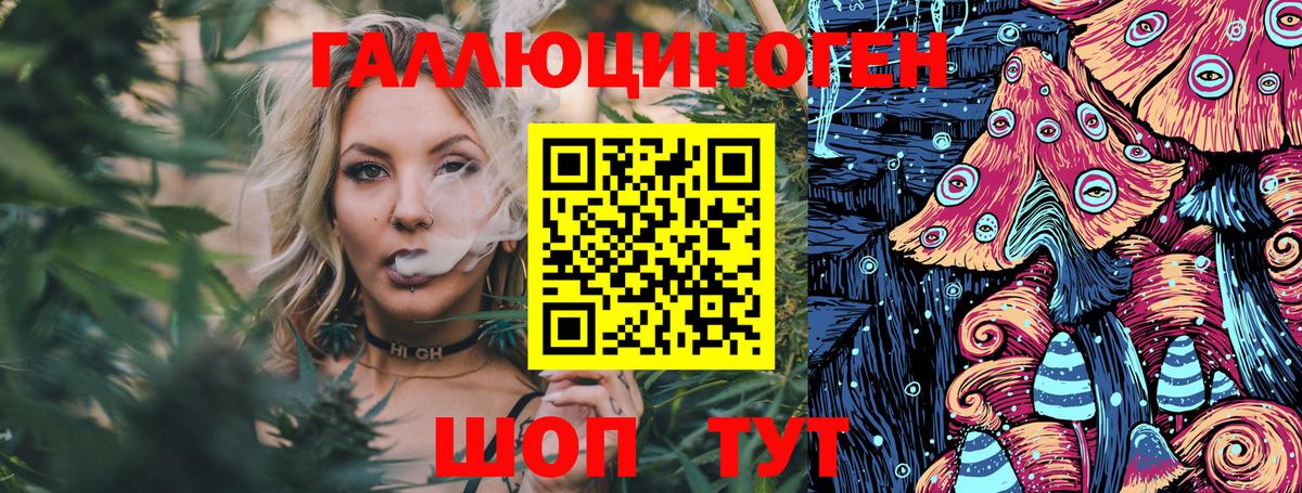 Псилоцибиновые грибы Psilocybine cubensis Первоуральск