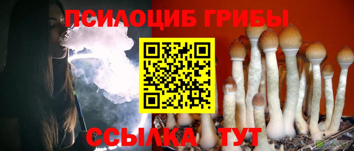 Первоуральск  Псилоцибиновые грибы Psilocybine cubensis  Галлюциногенные грибы Cubensis  Вход с VPN 